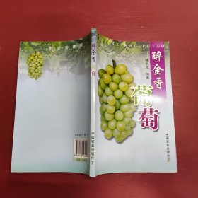 醉金香葡萄