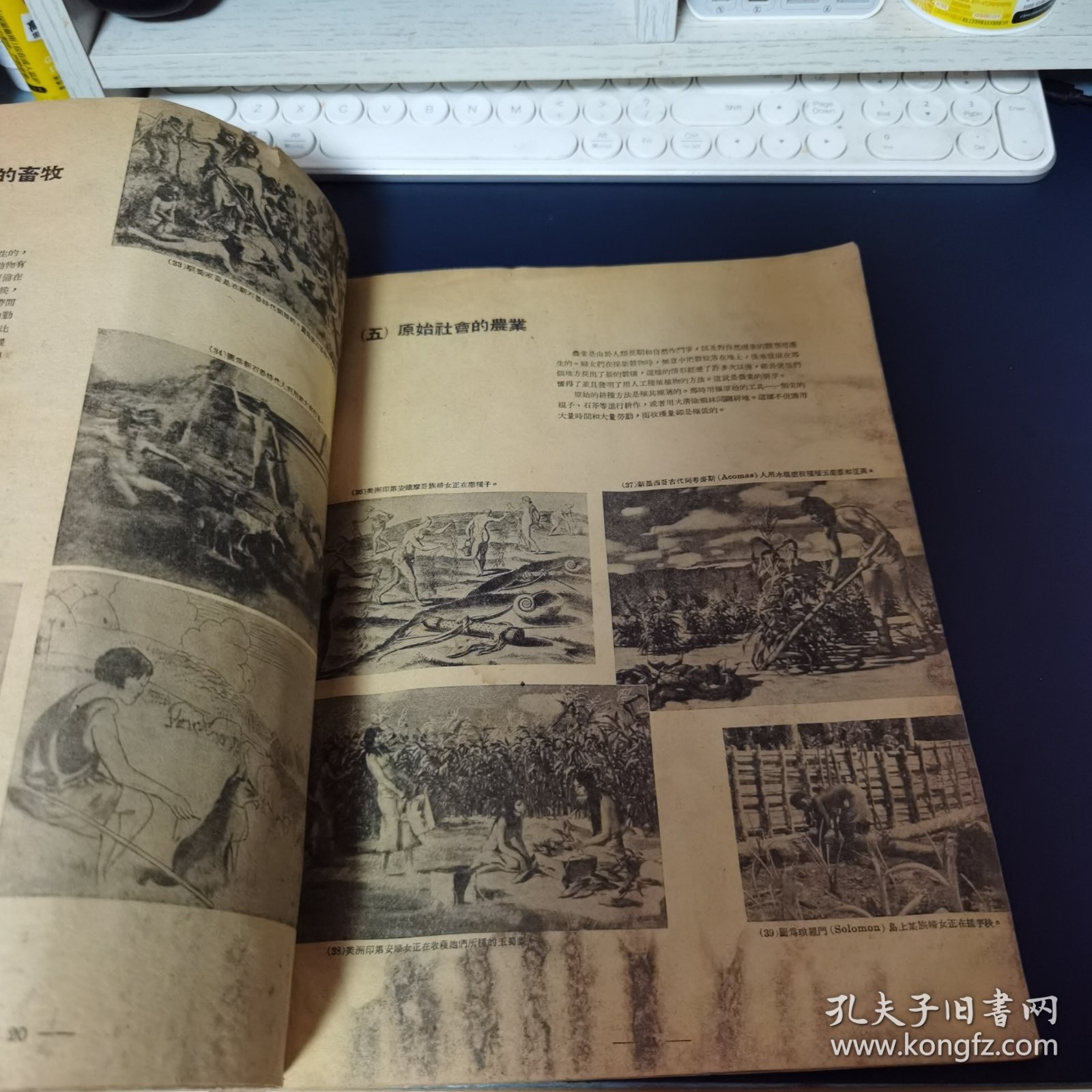 少见 1951年大10开《中国社会发展史画集》上册