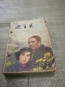 迎春花