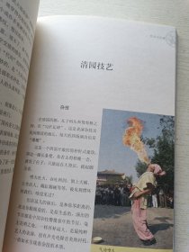 大宋风韵 : 开封清明上河园 郭传廉 河南大学出版社