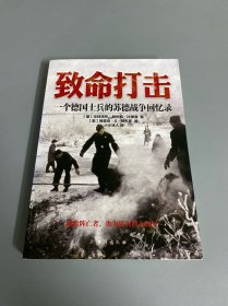 致命打击：一个德国士兵的苏德战争回忆录