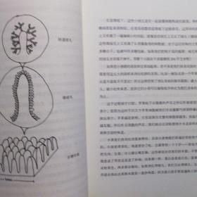 肠子的小心思