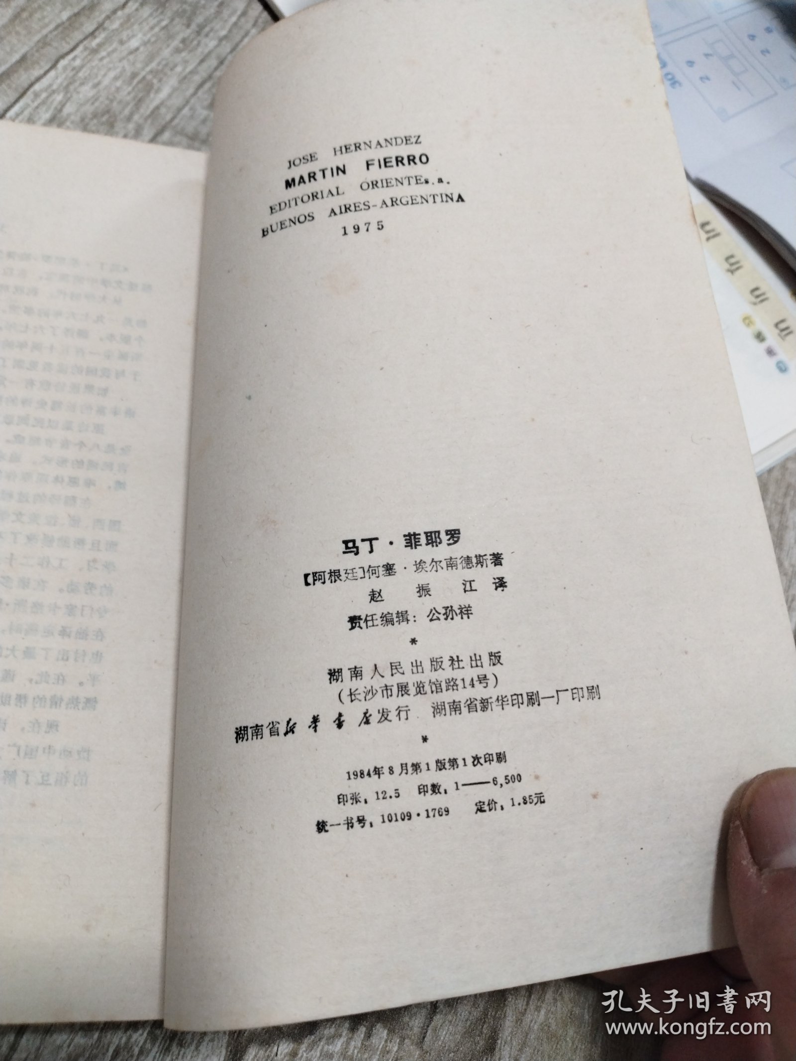 马丁·菲耶罗