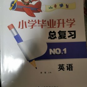 小学毕业升学总复习英语