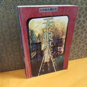 天狼星下：中国第一百万零一个盲流的历程