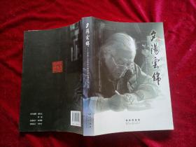 夕阳云锦_ 中国工艺美术大师彭祖述的石艺人生（16开）