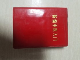 新编中医入门