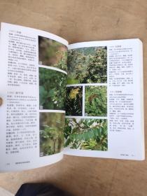 香格里拉市药用植物516页