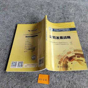 全国电力继续教育规划教材 公司新员工入职适用教材 公司发展战略