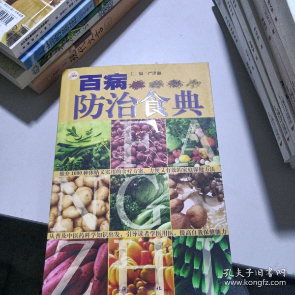 百病防治食典