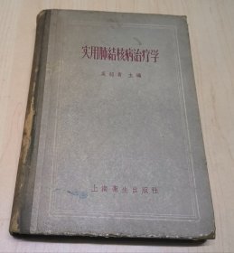 实用肺结核病治疗学