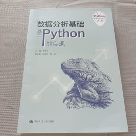 数据分析基础——基于Python的实现（基于Python的数据分析丛书)