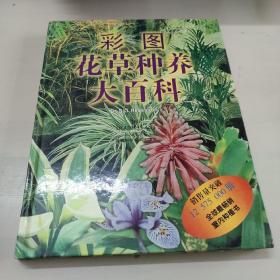 彩图家庭花草种植大百科