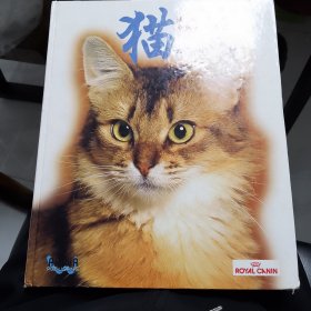 猫的百科全书