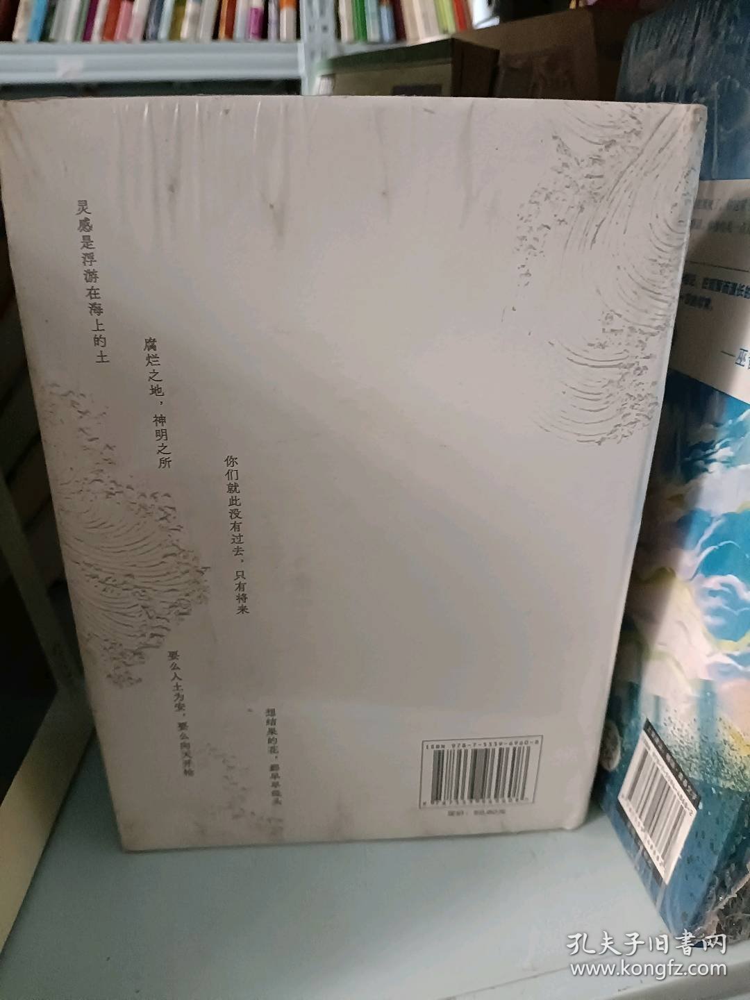 命运蔡崇达9787533969608浙江文艺出版社