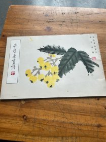 6219:荣宝斋画谱八（花卉草虫部分）一册