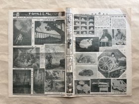 北晨画刊（第11卷第12期）8开4版，道林纸，1936年，陈仲昭摄影画中琼岛，关国钩摄影明灯，李鸿栋摄影银树琼枝，陈锋摄影柳月映辉，养安古拉兔是新兴的家庭副业（图片10帧），北平青年会会员的活动（图片9帧），杭市长周象贤欢宴北京大学校长蒋梦麟后合影，平市春丁祀孔人员合影，春丁祀孔大成殿至圣先师神位前之祭物，影星胡蝶潘有声夫妇在西子湖畔俪影，陈志浓作漫画民间歌谣，