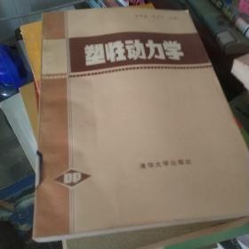 塑性动力学