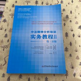 中法精神分析培训实务教程2：性·分裂