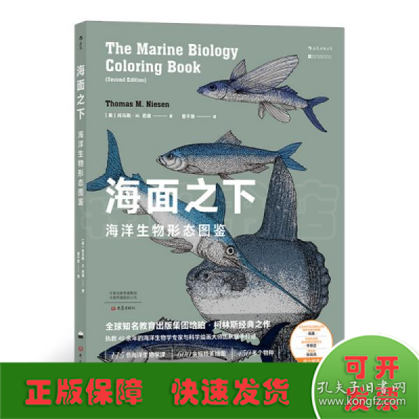 海面之下：海洋生物形态图鉴（一本可以涂色的海洋科普书）