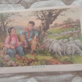 彩色小画片（第一辑儿童类）课余牧羊图（5604－7）