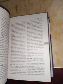 汉英双解成语词典