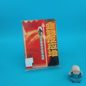 企业家成功运作指南——金钱反应堆