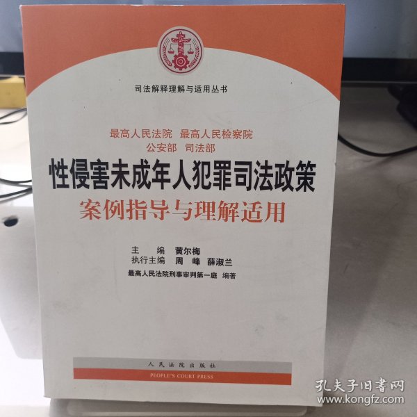 司法解释理解与适用丛书：性侵害未成年人犯罪司法政策案例指导与理解适用