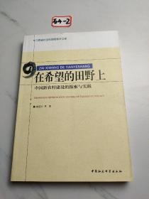 在希望的田野上：中国新农村建设的探索与实践