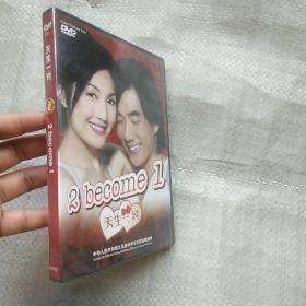 天生一对 DVD