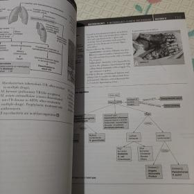 美国医师执照考试丛书：美国医师执照考试 USMLE Step 1应试指南（第23版）（英文）