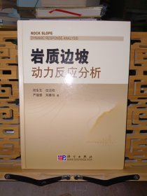 岩质边坡动力反应分析