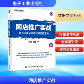 网店推广实战 网店流量全渠道获取实操宝典