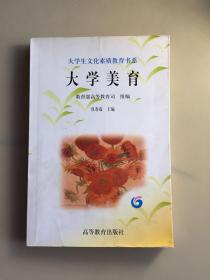 大学美育——大学生文化素质教育书系（瑕疵如图）