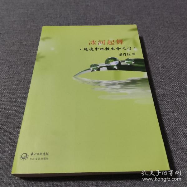 冰河起舞：绝境中把握生命之门