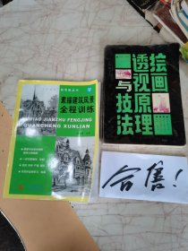 素描建筑风景全程训练——美术课堂全程训练丛书