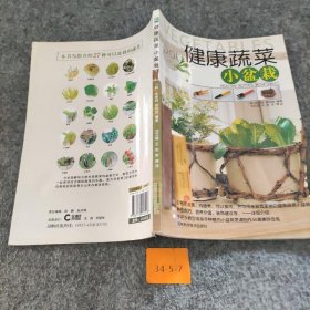 【正版图书】健康蔬菜小盆栽