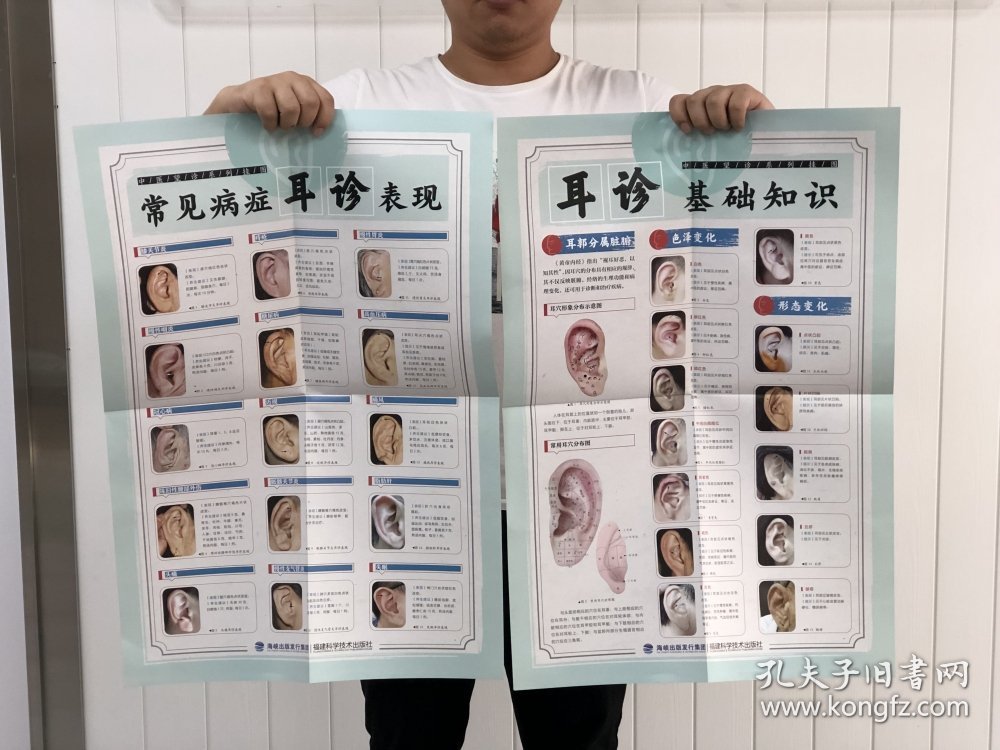 观耳诊病挂图/中医望诊系列挂图