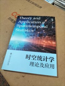 时空统计学理论及应用