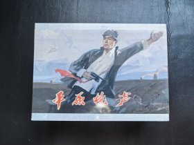 平原枪声，大砖头