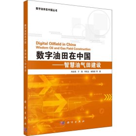 数字油田在中国——智慧油气田建设【正版新书】