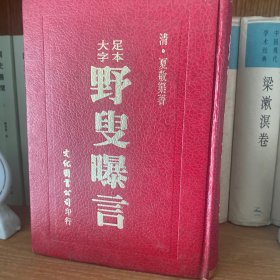 大字足本 野叟曝言 全书1300多页