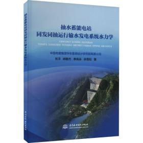 抽水蓄能电站同发同抽运行输水发电系统水力学 大中专理科水利电力 张洋 等 新华正版