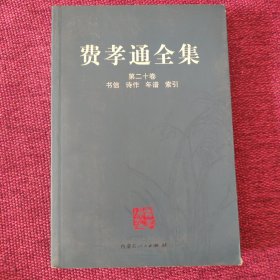 费孝通全集（第二十册）