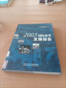 2005国际商业发展报告