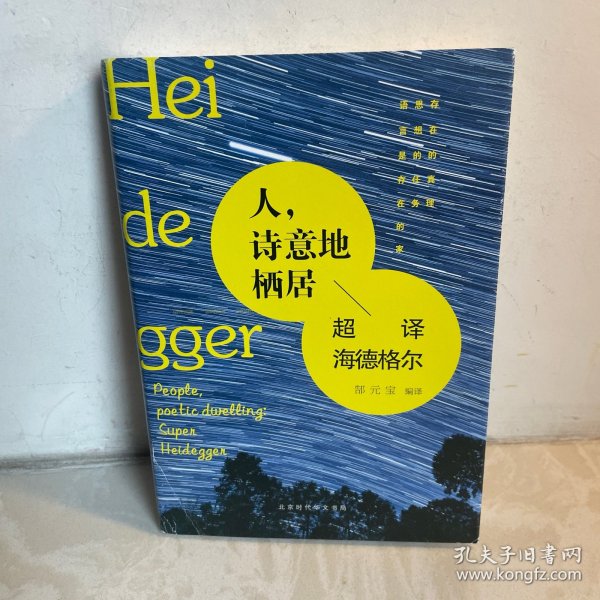 人，诗意地栖居：超译海德格尔