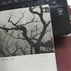 黄山摄影艺术展览