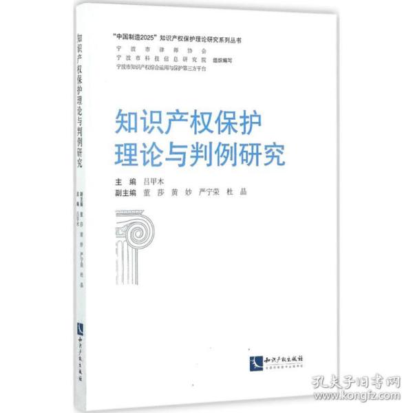 知识产权保护理论与判例研究