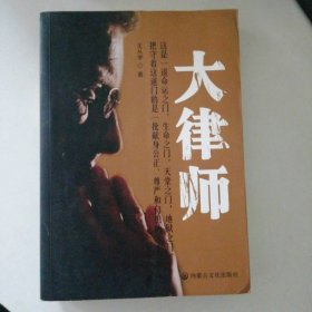 大律师 长篇小说王从学