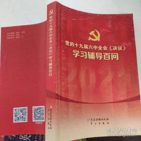 党的十九届六中全会《决议》学习辅导百问